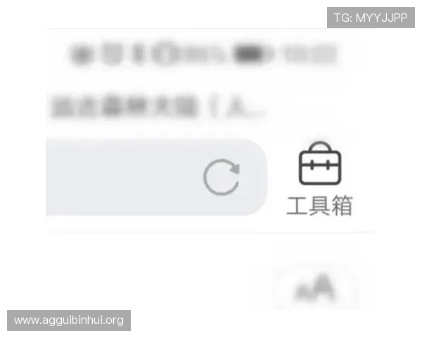 快速访问ag天博官方地址，提供最新入口链接和安全登录的实用技巧